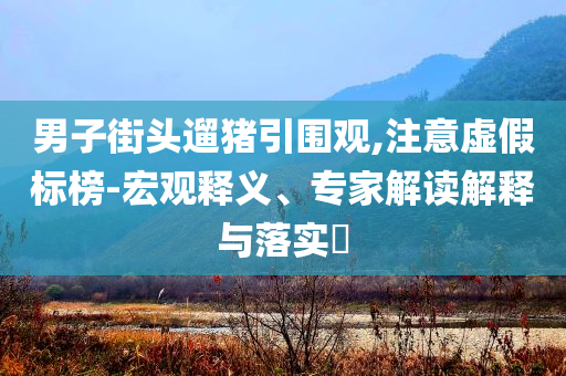 男子街頭遛豬引圍觀,注意虛假標榜-宏觀釋義、專家解讀解釋與落實?