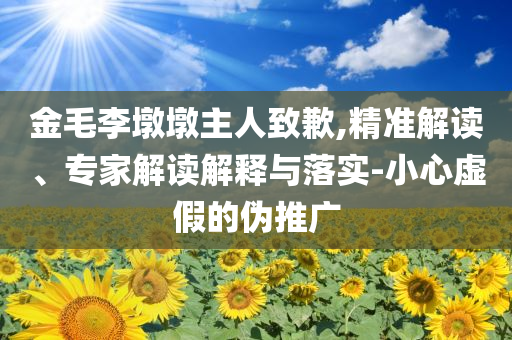 金毛李墩墩主人致歉,精準解讀、專家解讀解釋與落實-小心虛假的偽推廣
