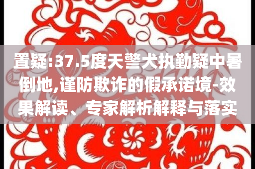 置疑:37.5度天警犬執(zhí)勤疑中暑倒地,謹(jǐn)防欺詐的假承諾境-效果解讀、專家解析解釋與落實(shí)