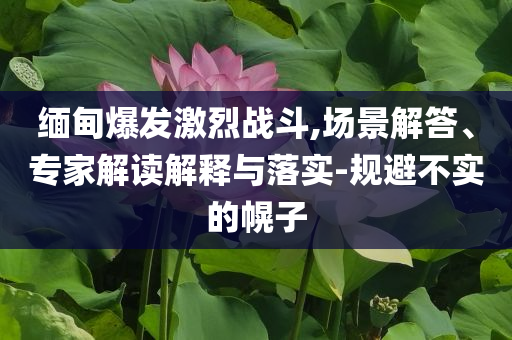 緬甸爆發(fā)激烈戰(zhàn)斗,場景解答、專家解讀解釋與落實-規(guī)避不實的幌子