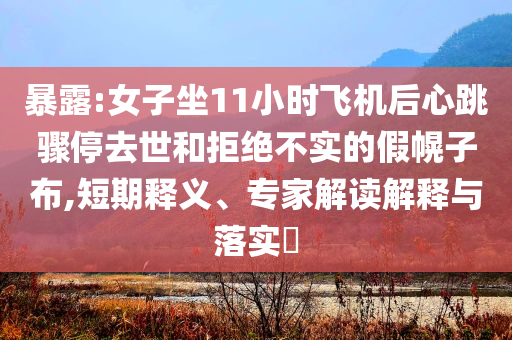 暴露:女子坐11小時飛機后心跳驟停去世和拒絕不實的假幌子布,短期釋義、專家解讀解釋與落實?
