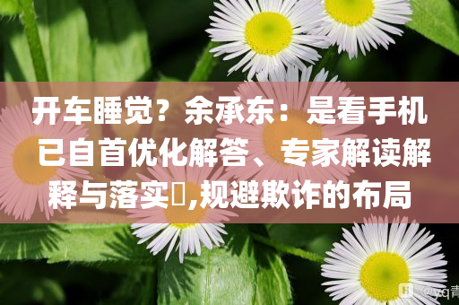 開車睡覺？余承東：是看手機 已自首優(yōu)化解答、專家解讀解釋與落實?,規(guī)避欺詐的布局