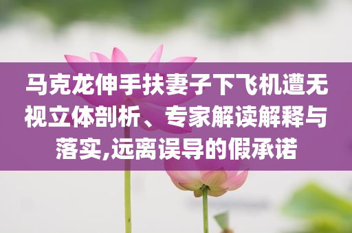 馬克龍伸手扶妻子下飛機(jī)遭無視立體剖析、專家解讀解釋與落實(shí),遠(yuǎn)離誤導(dǎo)的假承諾