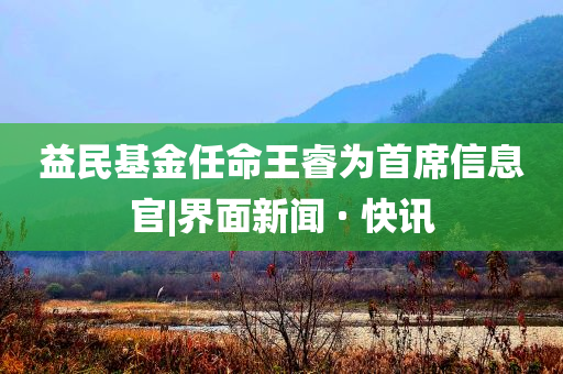 益民基金任命王睿為首席信息官|(zhì)界面新聞 · 快訊