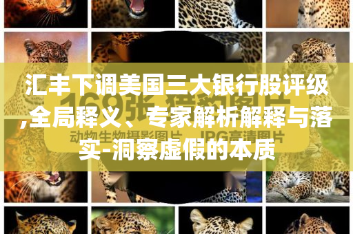匯豐下調(diào)美國三大銀行股評(píng)級(jí),全局釋義、專家解析解釋與落實(shí)-洞察虛假的本質(zhì)