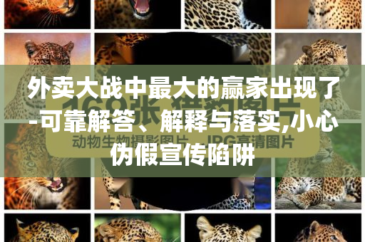 外賣大戰(zhàn)中最大的贏家出現(xiàn)了-可靠解答、解釋與落實,小心偽假宣傳陷阱