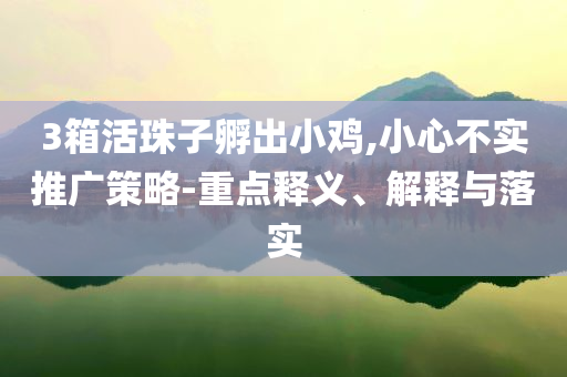 3箱活珠子孵出小雞,小心不實推廣策略-重點釋義、解釋與落實