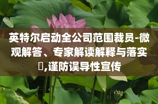英特爾啟動(dòng)全公司范圍裁員-微觀解答、專家解讀解釋與落實(shí)?,謹(jǐn)防誤導(dǎo)性宣傳