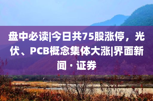 盤中必讀|今日共75股漲停，光伏、PCB概念集體大漲|界面新聞 · 證券