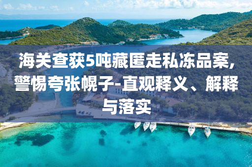 海關(guān)查獲5噸藏匿走私凍品案,警惕夸張幌子-直觀(guān)釋義、解釋與落實(shí)