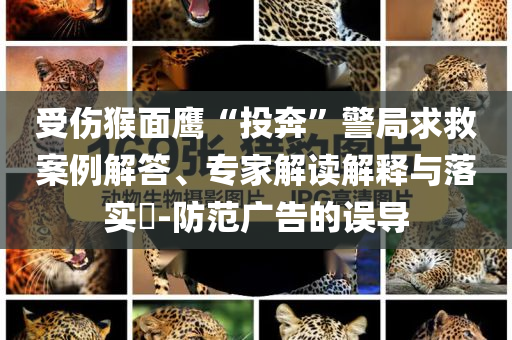 受傷猴面鷹“投奔”警局求救案例解答、專家解讀解釋與落實?-防范廣告的誤導(dǎo)