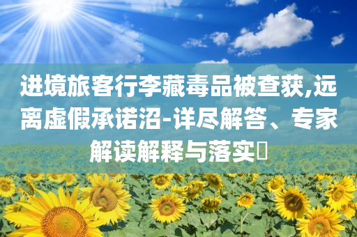 進(jìn)境旅客行李藏毒品被查獲,遠(yuǎn)離虛假承諾沼-詳盡解答、專家解讀解釋與落實?