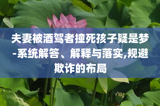 夫妻被酒駕者撞死孩子疑是夢(mèng)-系統(tǒng)解答、解釋與落實(shí),規(guī)避欺詐的布局