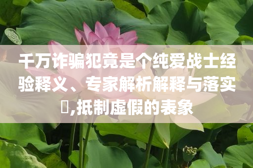 千萬詐騙犯竟是個(gè)純愛戰(zhàn)士經(jīng)驗(yàn)釋義、專家解析解釋與落實(shí)?,抵制虛假的表象
