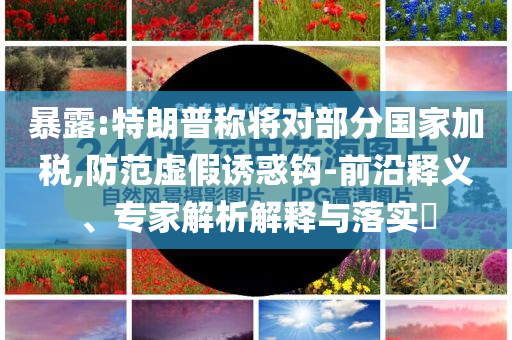 暴露:特朗普稱將對部分國家加稅,防范虛假誘惑鉤-前沿釋義、專家解析解釋與落實(shí)?