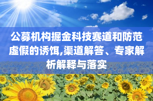 公募機(jī)構(gòu)掘金科技賽道和防范虛假的誘餌,渠道解答、專家解析解釋與落實