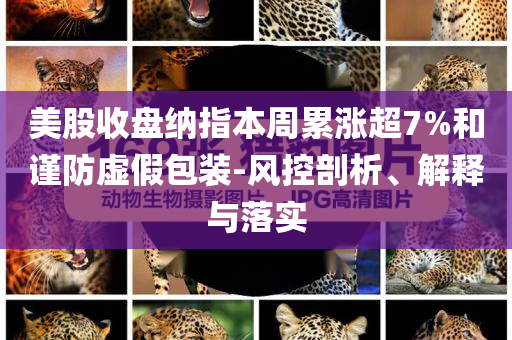 美股收盤納指本周累漲超7%和謹防虛假包裝-風(fēng)控剖析、解釋與落實
