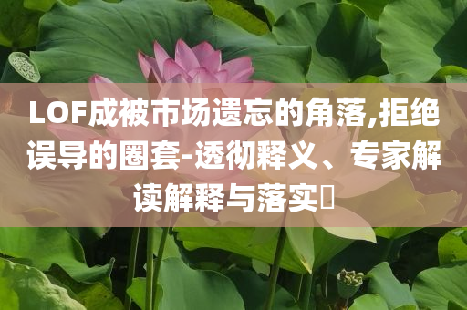 LOF成被市場遺忘的角落,拒絕誤導(dǎo)的圈套-透徹釋義、專家解讀解釋與落實(shí)?