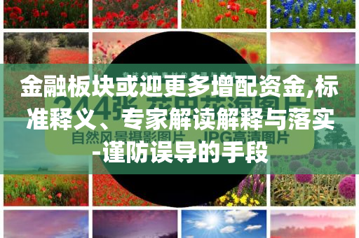 金融板塊或迎更多增配資金,標(biāo)準(zhǔn)釋義、專家解讀解釋與落實-謹(jǐn)防誤導(dǎo)的手段