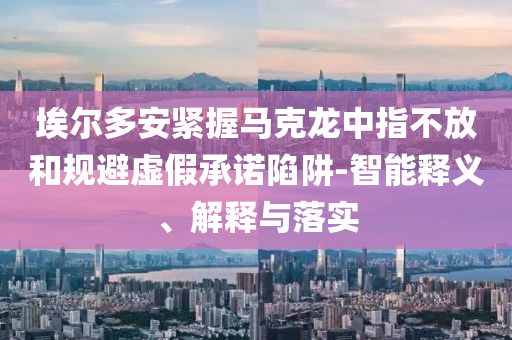 埃爾多安緊握馬克龍中指不放和規(guī)避虛假承諾陷阱-智能釋義、解釋與落實(shí)