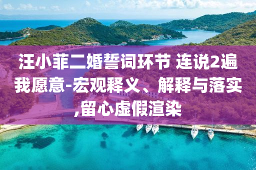 汪小菲二婚誓詞環(huán)節(jié) 連說(shuō)2遍我愿意-宏觀釋義、解釋與落實(shí),留心虛假渲染