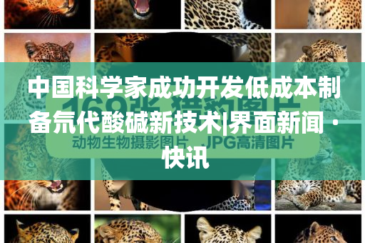 中國科學(xué)家成功開發(fā)低成本制備氘代酸堿新技術(shù)|界面新聞 · 快訊
