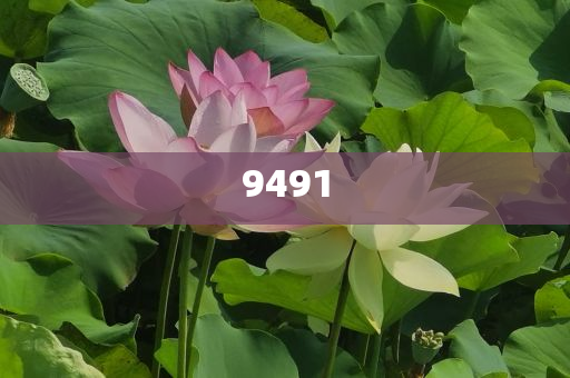 女子稱(chēng)遭快遞員多次辱罵踹門(mén)系統(tǒng)分析、專(zhuān)家解讀解釋與落實(shí)-留心宣傳的陷阱