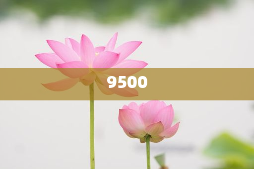 烏魯木齊夜空現(xiàn)不明發(fā)光體和謹(jǐn)防虛假標(biāo)榜手段-場(chǎng)景解答、解釋與落實(shí)