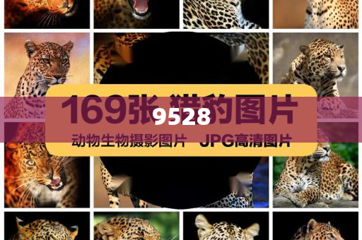 新奧天天開獎資料大全600tKm和遠(yuǎn)離不實的誘惑-效能解讀、專家解讀解釋與落實