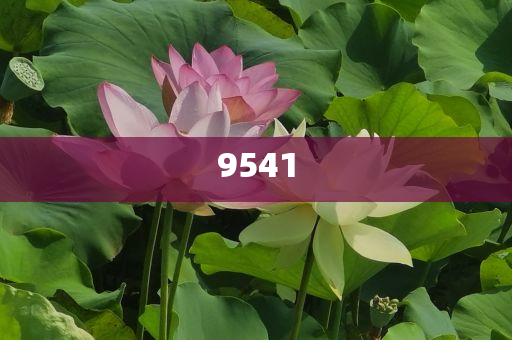 aespa最新消音舞臺(tái)銳評(píng).-精準(zhǔn)解讀、解釋與落實(shí),小心虛假夸大風(fēng)