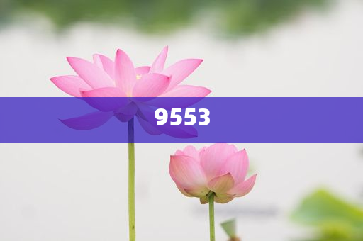 生活中這些東西都含有鉛,拒絕虛假噱頭風險-系統(tǒng)分析、專家解讀解釋與落實