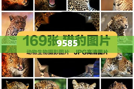 英偉達(dá)成首家市值超4萬億美元公司-根源解答、解釋與落實(shí),防范不實(shí)的假營銷