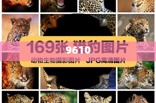 拆穿:三預(yù)警齊發(fā) 全國多地將現(xiàn)暴雨天氣-實用剖析、專家解析解釋與落實?,謹(jǐn)防欺詐的假營銷霧