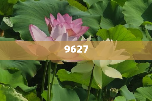 星Galaxy Z Fold 7真機(jī)曝光,創(chuàng)新分析、專家解讀解釋與落實(shí)-遠(yuǎn)離虛假的假推廣局