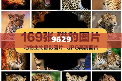 書卷一夢全員神助攻:科技釋義、專家解讀解釋與落實?,拒絕不實的假營銷套